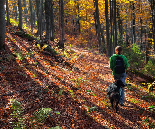 ActivPhy Top Tips to Prevent Hiking Health Hazards
